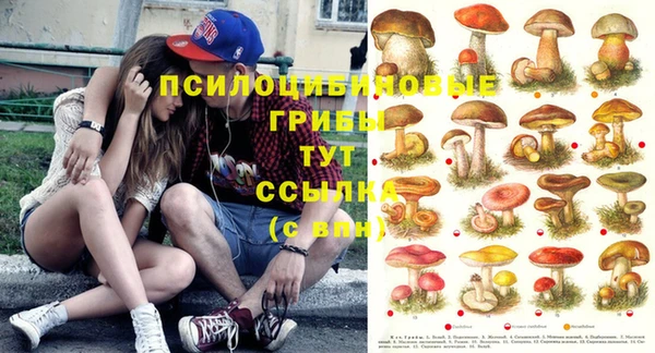 метадон Корсаков