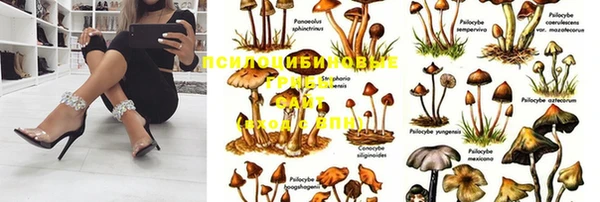 дмт Козловка