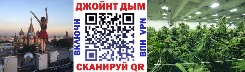 Канабис VHQ  Гаврилов Посад 